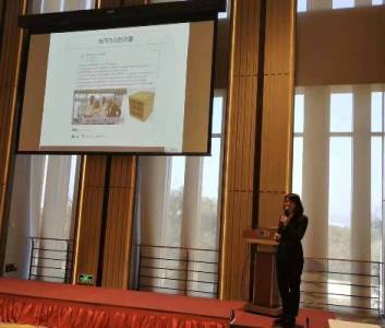 岱创&杜尔 岱创&杜尔