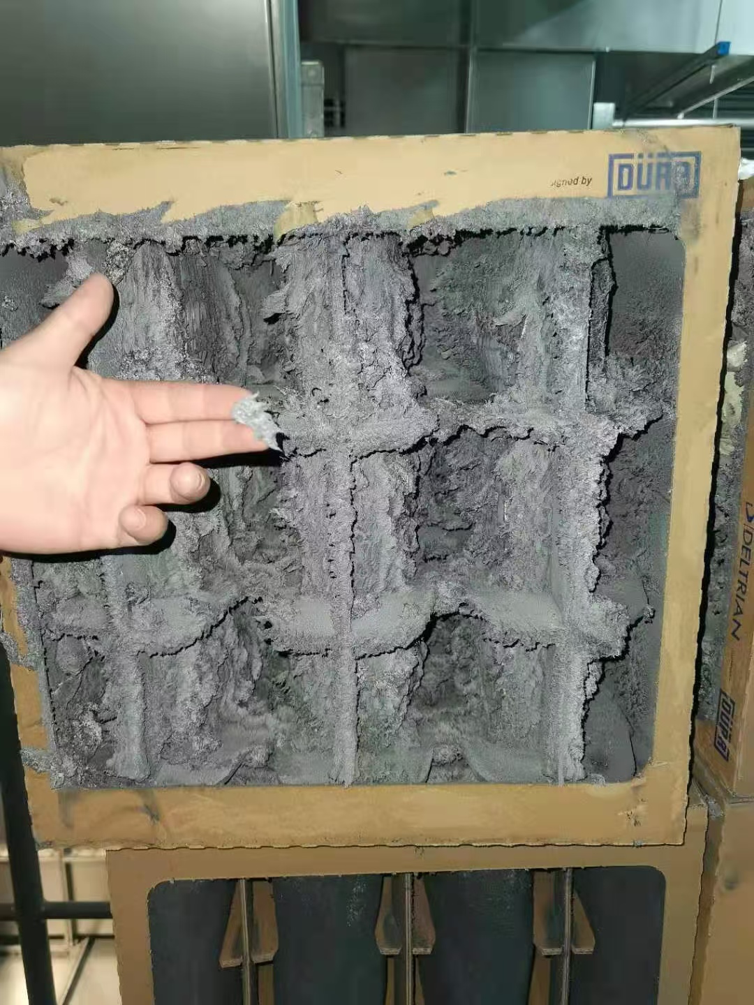 微信图片_20250731125212 微信图片_20250731125212